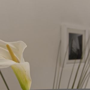 Deluxe Appartement